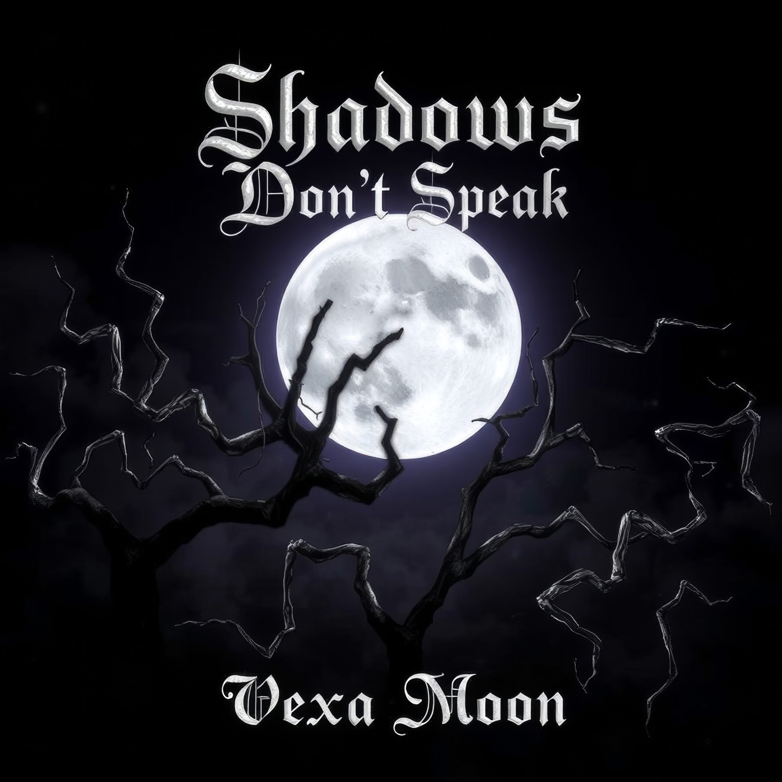 Shadows Don’t Speak by Vexa Moon