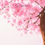 Cherry Blossoms After School by Girard