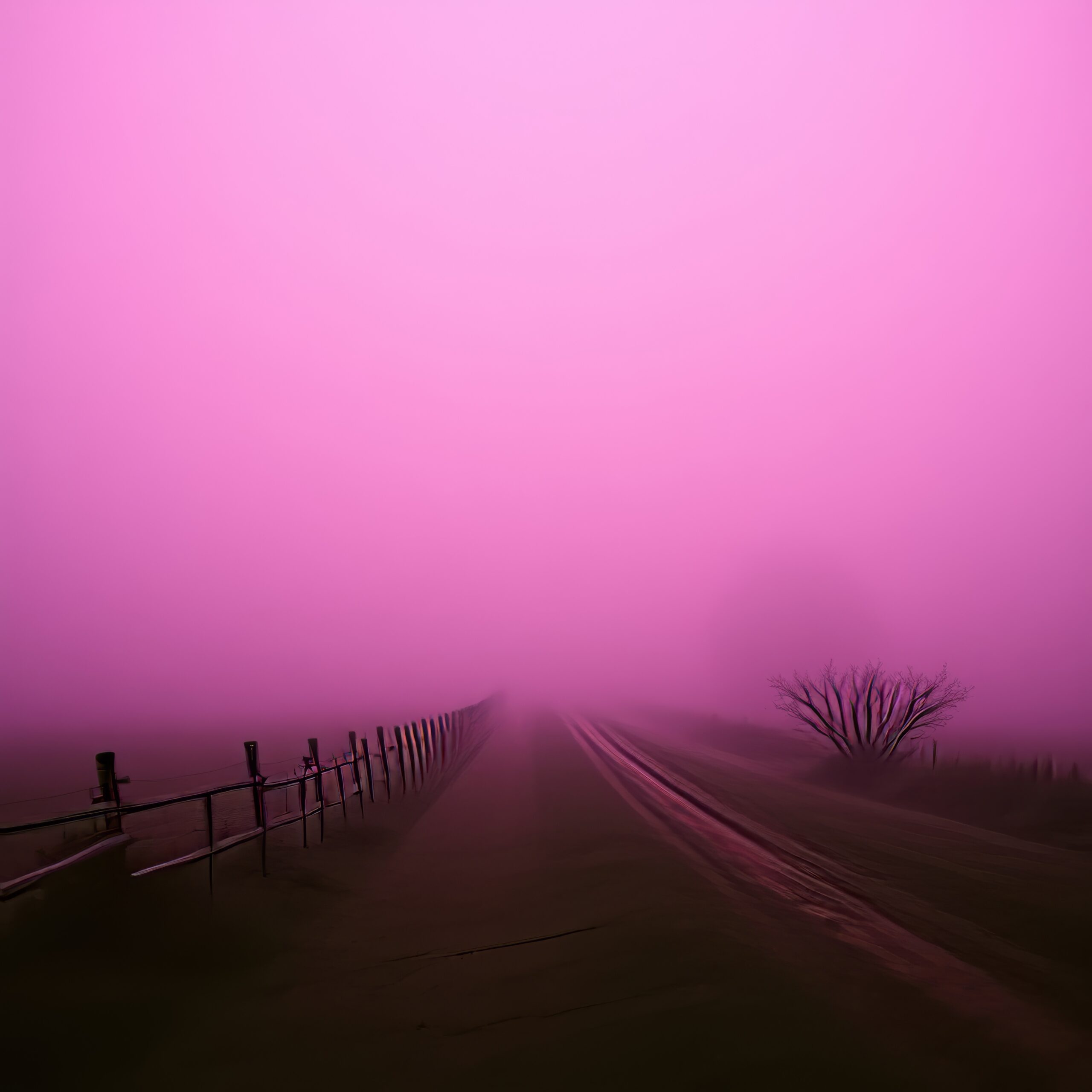 I Watch in the Fog by Haunted Hills Revival