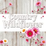Country Wildflower